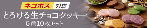 とろける生チョコクッキー ネコポス対応